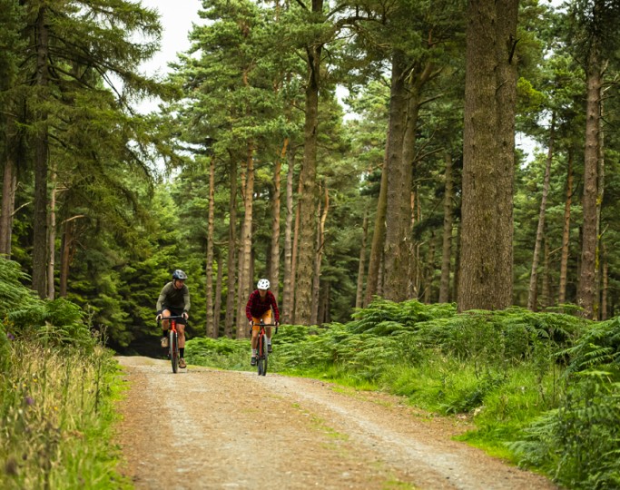 Gravel Ride Dublin