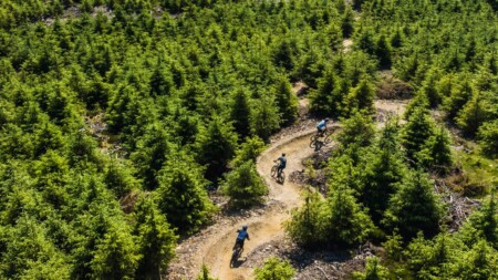 Ballinastoe Mountain Bike Trails