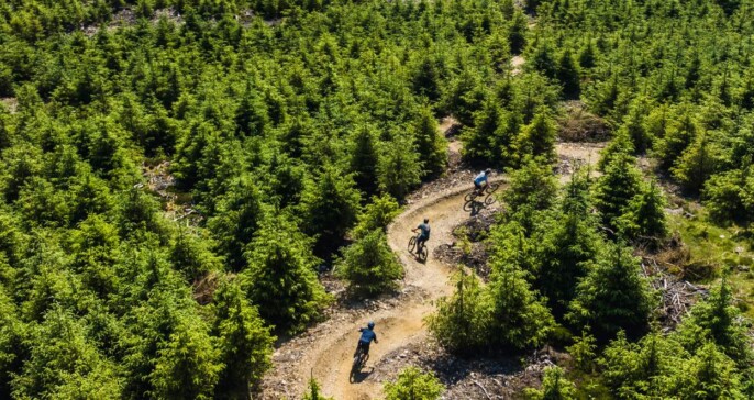 Ballinastoe Mountain Bike Trails