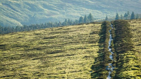 Ballyhoura Mountain Bike Trails