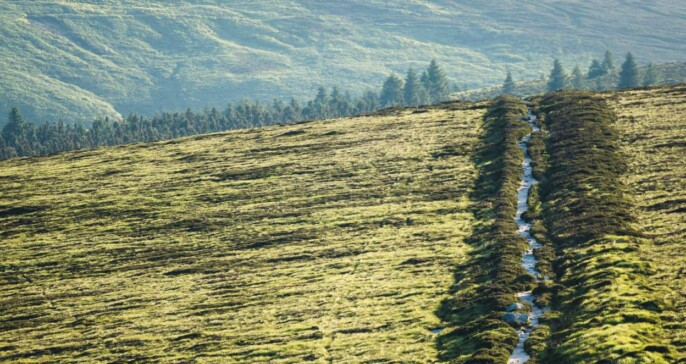 Ballyhoura Mountain Bike Trails