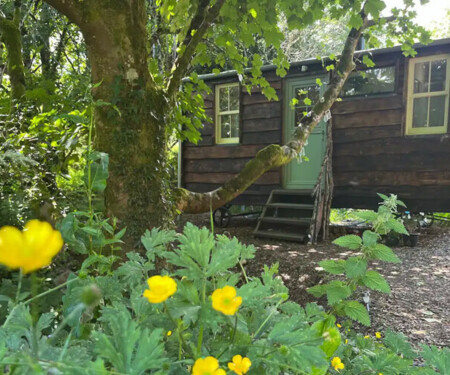 Botanists Hut