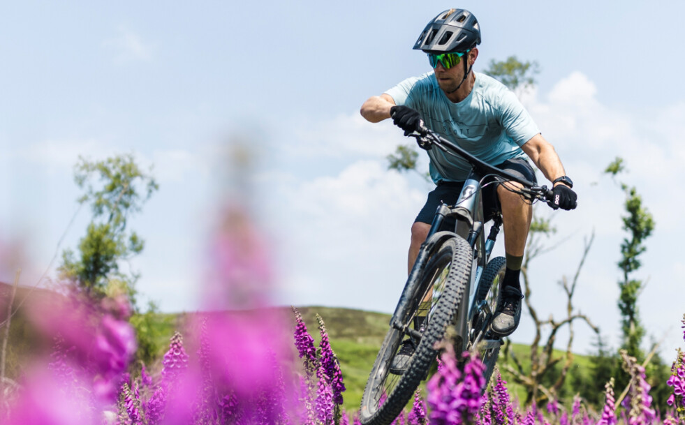 Mtb coaching near me online