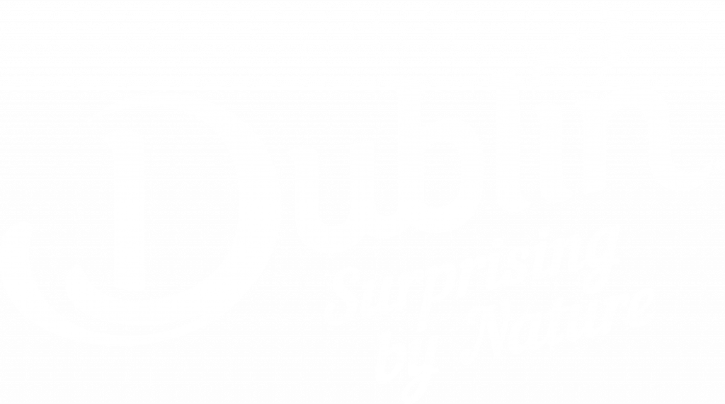 Dublin Surprising by nature